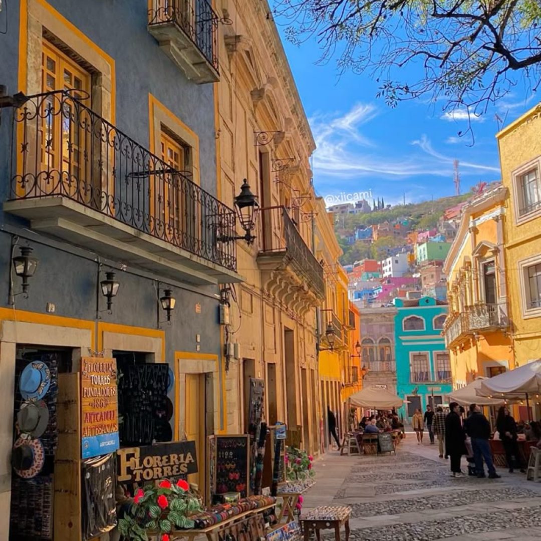 WhatsApp Image 2025-09-16 at 15.23.17 (1)